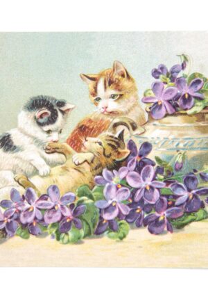 Kitty Cat Playtime Postcard