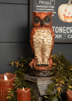 Orange Owl, Large