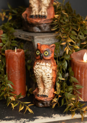 Orange Owl, Small